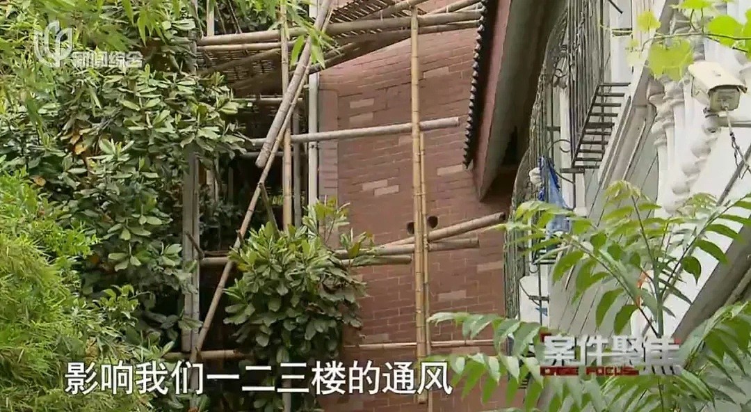 红木家具长满白毛 ！上海一大爷空关豪华别墅11年，只因邻居…（视频/组图） - 6