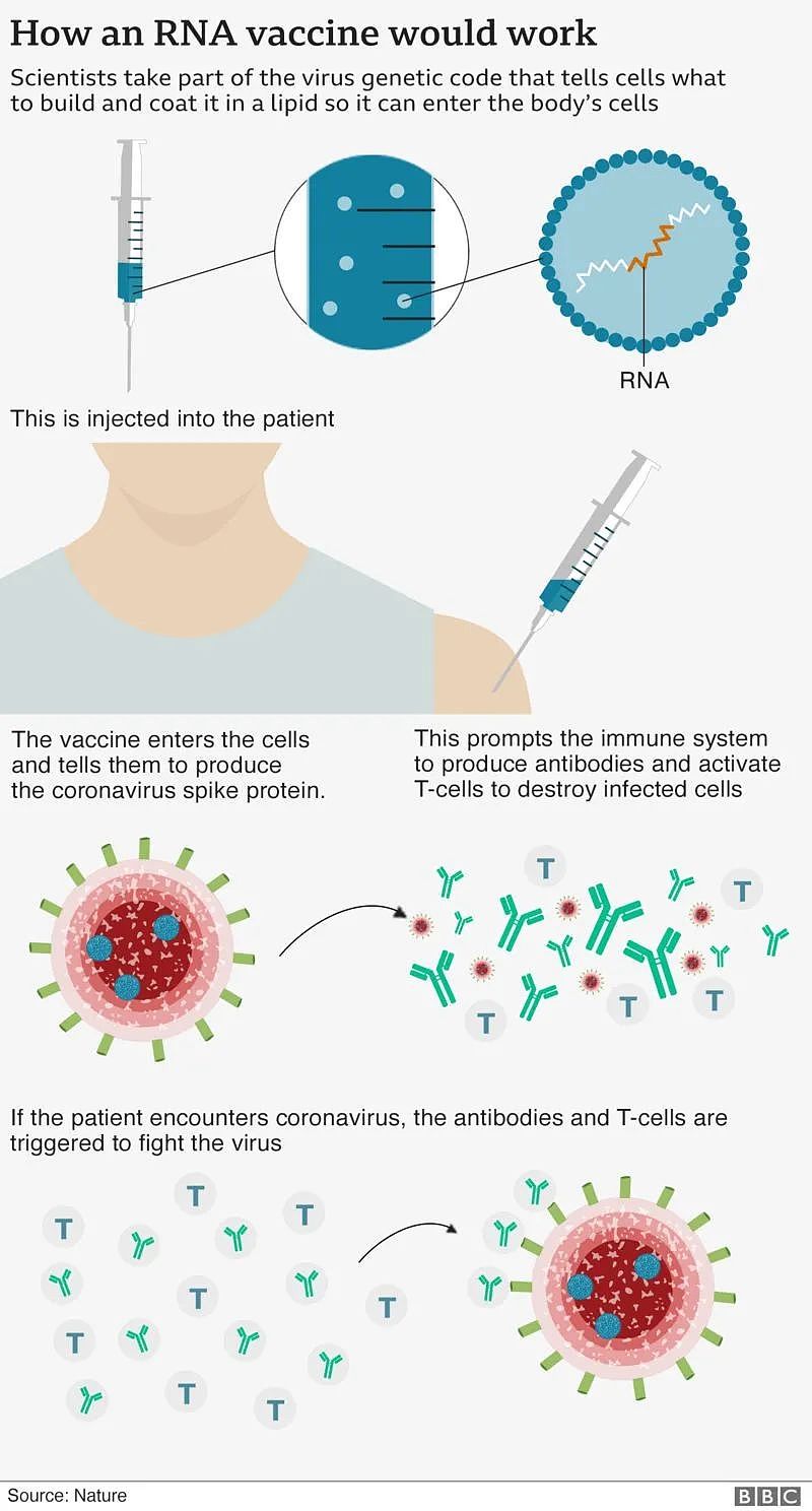 美国疫苗临床试验扎堆出结果，那中国的呢？（组图） - 8