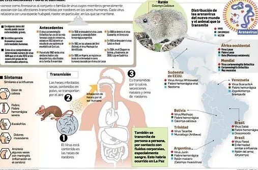 恐怖！这国惊现罕见病毒，已3死 人传人，无药可医，尸体都具传染性（组图） - 4