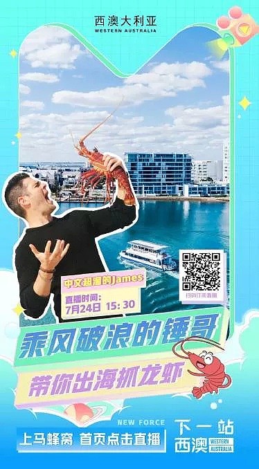 中文十级的西澳“锤哥”直播捕龙虾！5场旅游直播吸引超10万中国观众 - 2