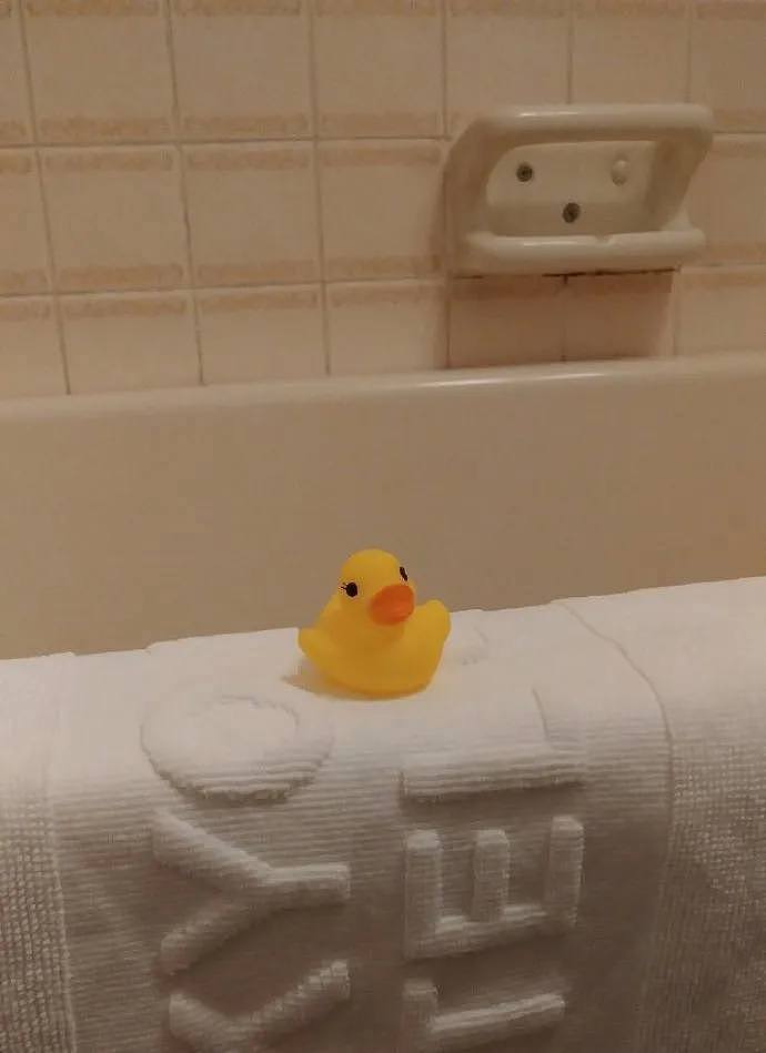 【爆笑】岛国一家酒店的浴室里竟然提供了鸭子，不仅能陪你洗澡，还能带回家...（组图） - 2