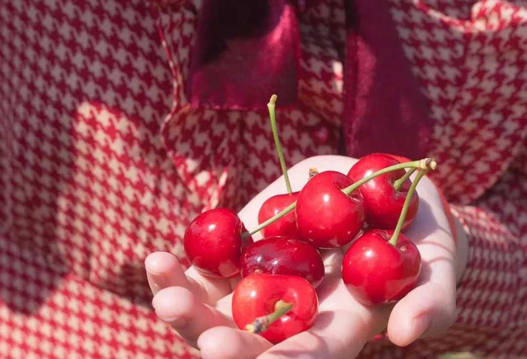 免费入场！墨尔本周边5大「超新鲜果园」！畅吃脆甜爆汁草莓、清爽可口蓝莓 - 8