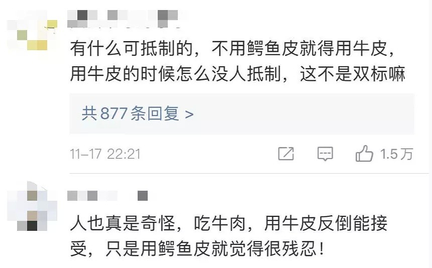 爱马仕将在澳洲建最大鳄鱼养殖场！有网友抗议“活剥”，有网友却说没毛病（组图） - 14