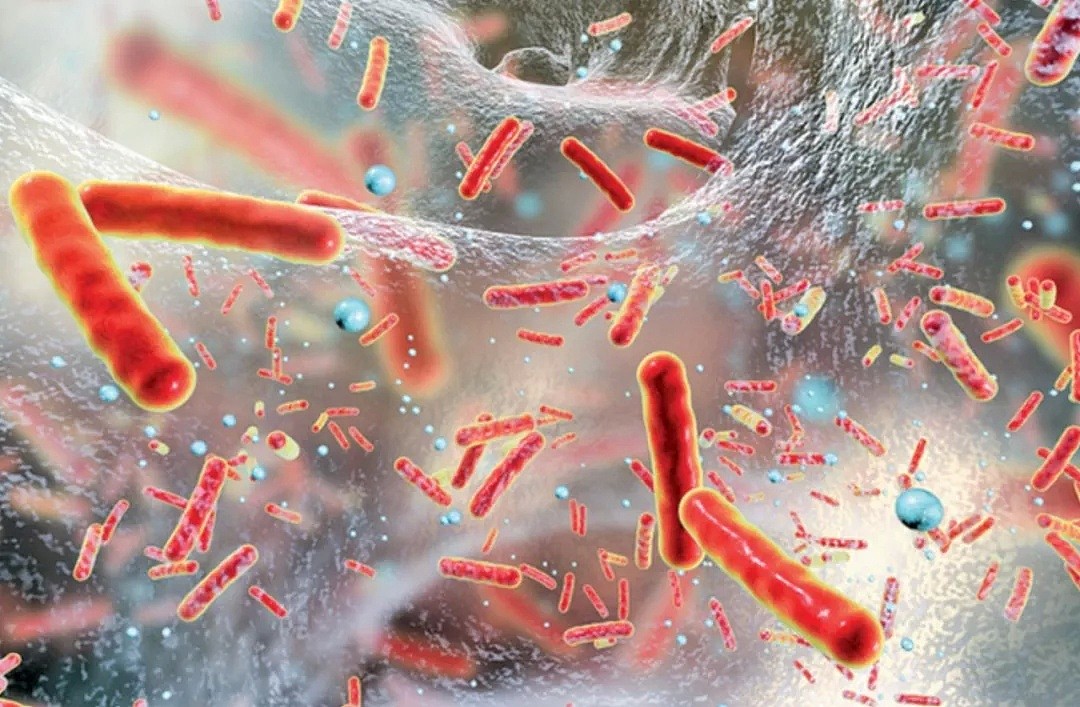 莫纳什专家警告：警惕超级细菌，每年或致2万澳人死亡！这种常见生物竟是感染源... - 2