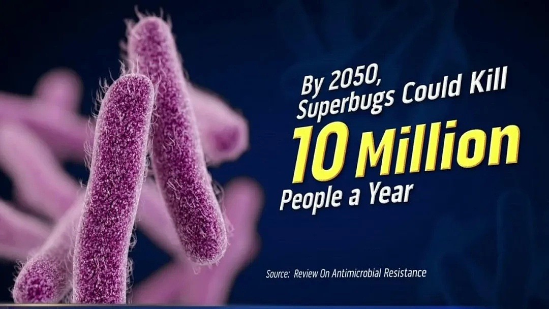 莫纳什专家警告：警惕超级细菌，每年或致2万澳人死亡！这种常见生物竟是感染源... - 12