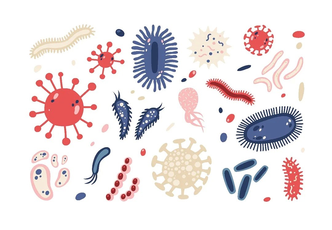 莫纳什专家警告：警惕超级细菌，每年或致2万澳人死亡！这种常见生物竟是感染源... - 24