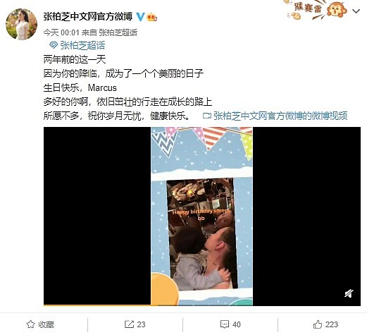 生父曝光？张柏芝2岁儿子正面照遭全网疯传！孩子的爸爸基因超强（视频/组图） - 3