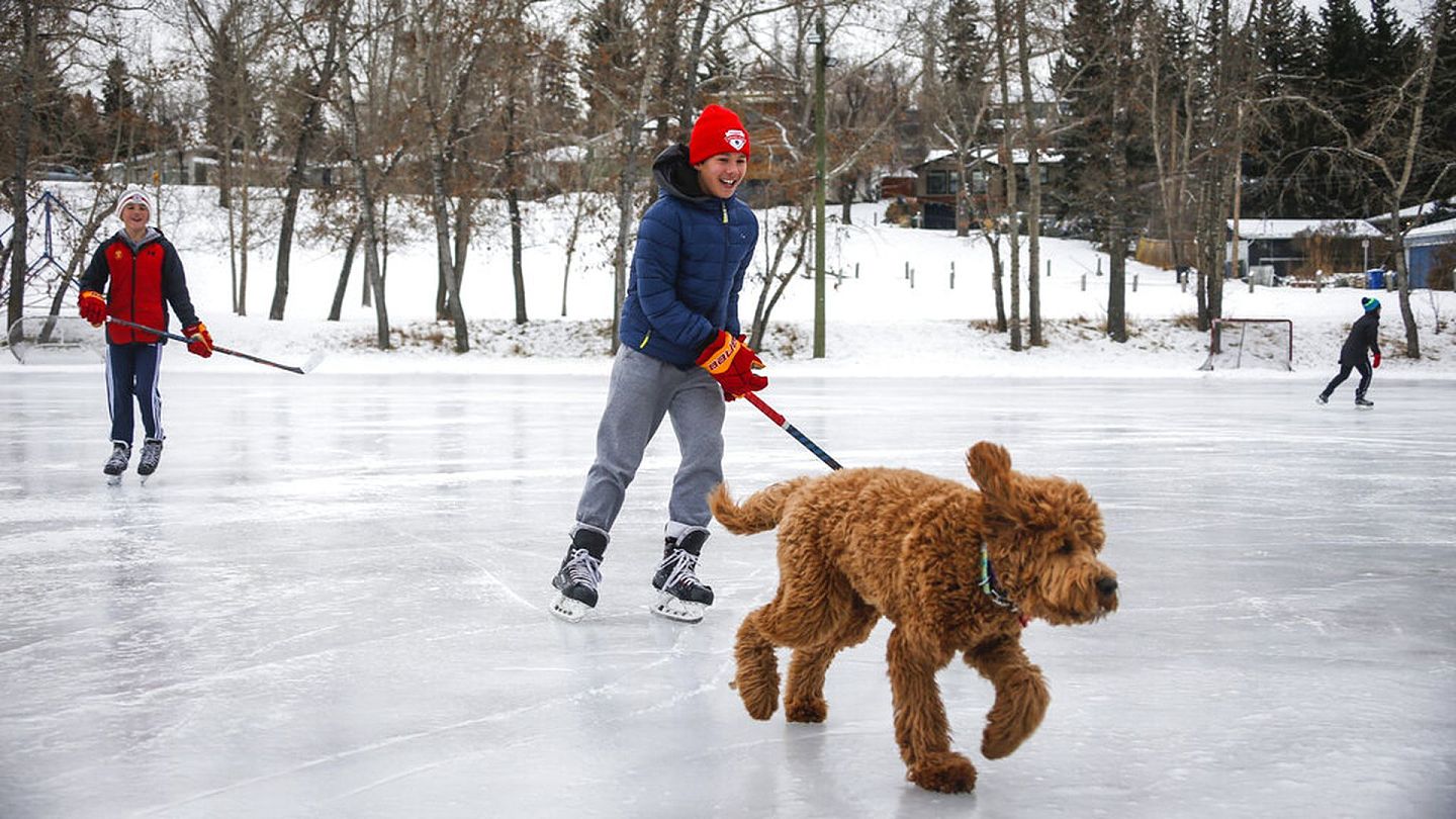 11月19日，加拿大艾伯塔省卡加里一名少女（中）与宠物犬在遛冰。（AP）