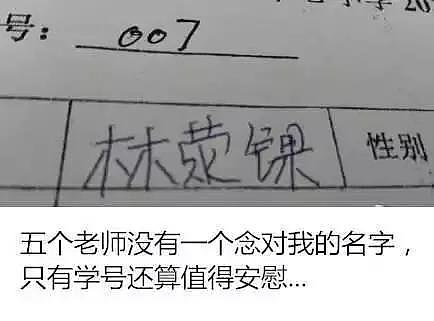 中国父亲给孩子取名“飞龙在天”！工作人员当场傻眼了（组图） - 7