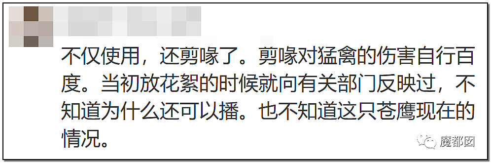 大瓜！《狼殿下》热播却让很多网友怒到面红耳赤+双手握拳（组图） - 58