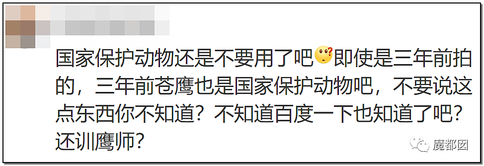 大瓜！《狼殿下》热播却让很多网友怒到面红耳赤+双手握拳（组图） - 66