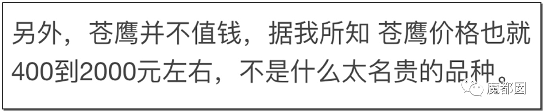 大瓜！《狼殿下》热播却让很多网友怒到面红耳赤+双手握拳（组图） - 70