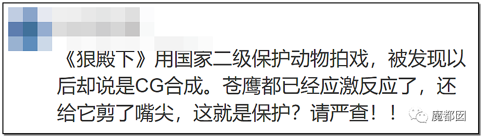 大瓜！《狼殿下》热播却让很多网友怒到面红耳赤+双手握拳（组图） - 74