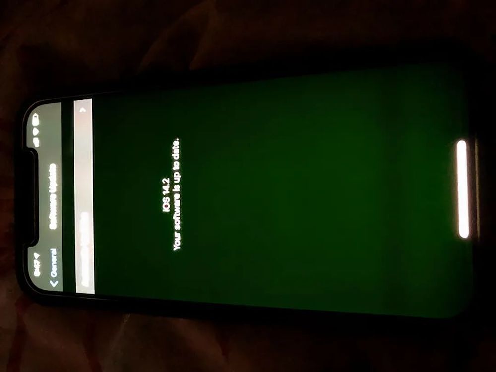 绿屏门发酵！大规模iPhone12全系屏幕翻车，苹果官方坐不住了（组图） - 1
