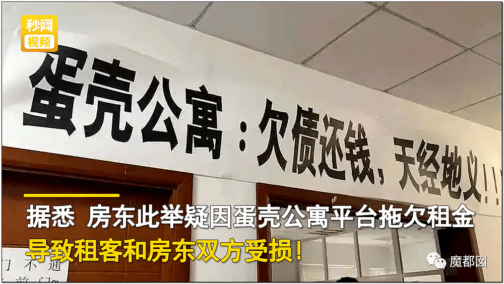 动刀搏命、哭叫、跳楼、睡大街…蛋壳租房敲碎年轻人的一切！（组图） - 21