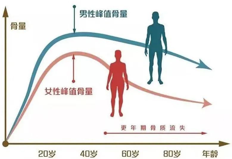 德国大学：身体有衰退曲线，从这个年龄就走下坡路（图） - 4