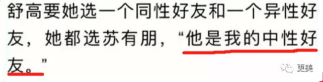 拿赵薇做了20年挡箭牌，50岁的苏有朋性向之谜终于揭开...（组图） - 38