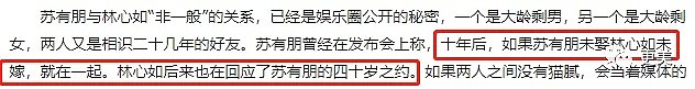 拿赵薇做了20年挡箭牌，50岁的苏有朋性向之谜终于揭开...（组图） - 39