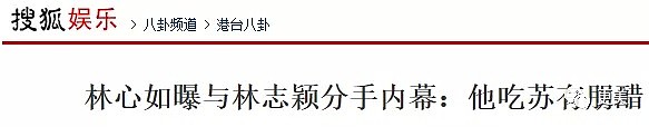 拿赵薇做了20年挡箭牌，50岁的苏有朋性向之谜终于揭开...（组图） - 40