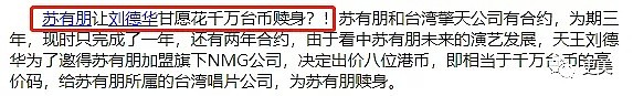 拿赵薇做了20年挡箭牌，50岁的苏有朋性向之谜终于揭开...（组图） - 43