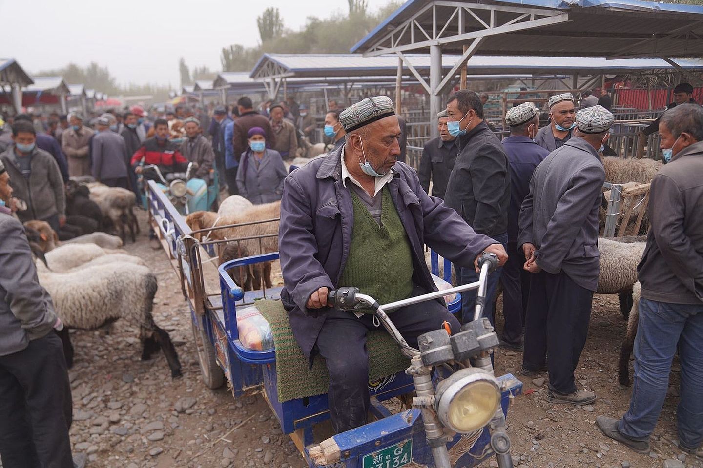 中方指出，新疆地区社会稳定，人民安居乐业。图为2020年10月11日，新疆喀什附近的居民亚森牵着五头羊来阿瓦提乡的牛羊巴扎叫卖。（视觉中国）