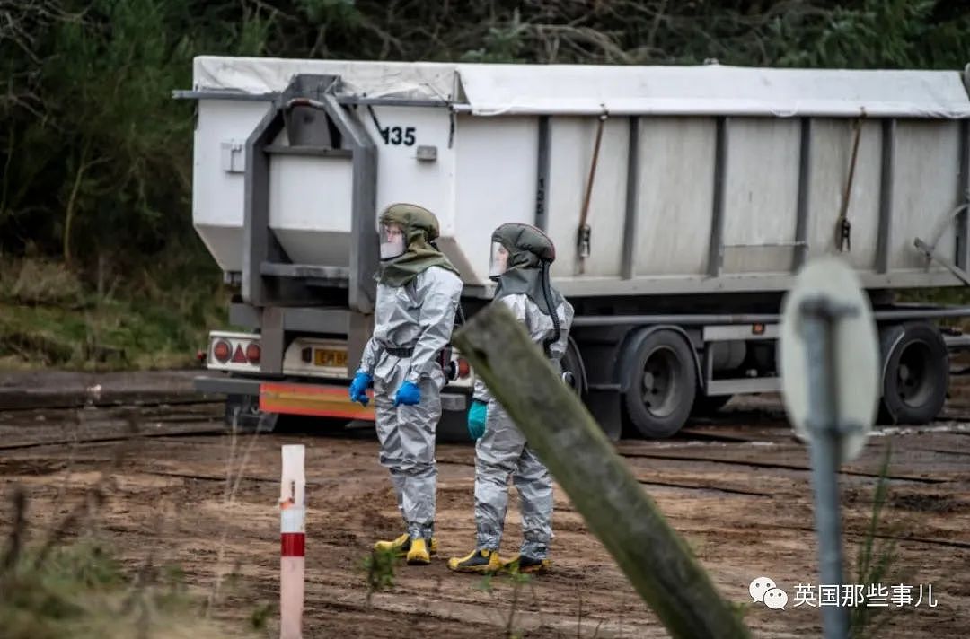 丹麦数千只死貂尸体忽然破土而出涌向地面…网友：僵尸剧情终于来了（组图） - 16