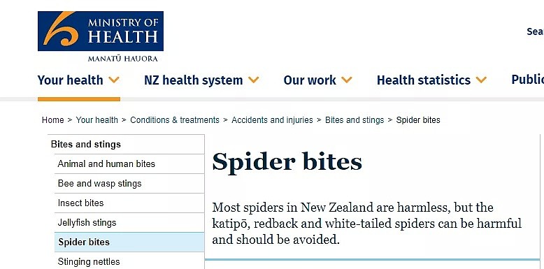 高能预警！新西兰也有像澳洲这么大的蜘蛛了？华人吓惨：现在烧房子还来得及吗（组图） - 8
