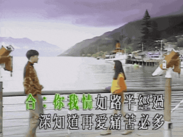 澳籍华裔男星张智霖29年前拍的MV爆火：都是在新西兰拍摄，华人移民说出扎心真相...（视频/组图） - 10