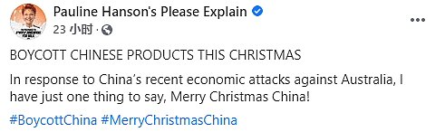“圣诞不买中国货” 指责中国“经济攻击”，一国党党魁韩森吁澳人抵制中国商品（组图） - 2