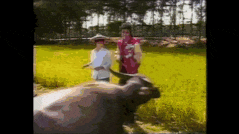 33年前，迈克尔·杰克逊在中国农村，度过了特殊的一天（组图） - 5