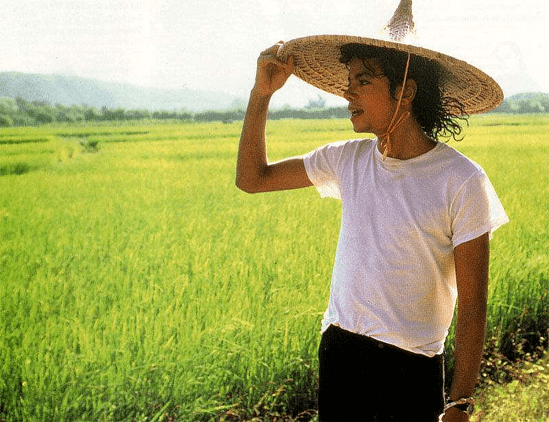 33年前，迈克尔·杰克逊在中国农村，度过了特殊的一天（组图） - 4