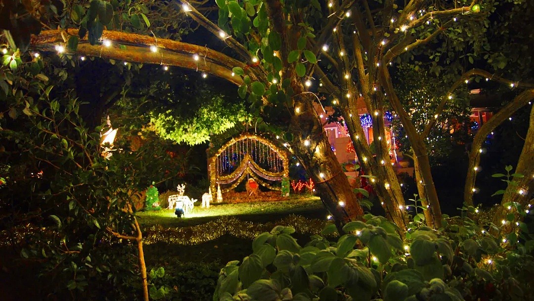美爆了！墨尔本最绚丽的圣诞灯光展都在这啦，十大地点照亮你的圣诞（组图） - 27