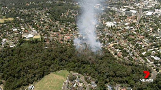 西悉尼山火失控！大火扑向街边民宅，消防局敦促当地居民做好撤离准备（组图） - 5