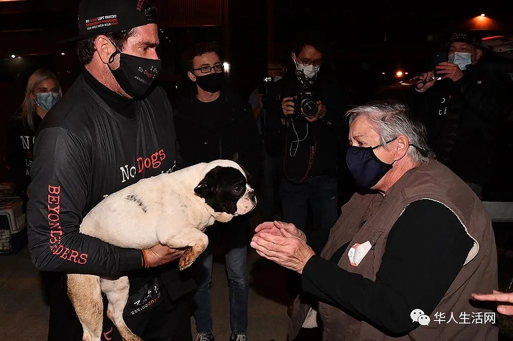 79只中国遗弃犬历经10个月飞抵纽约，其中有七只不幸死亡，居民喜迎家庭新成员（组图） - 7