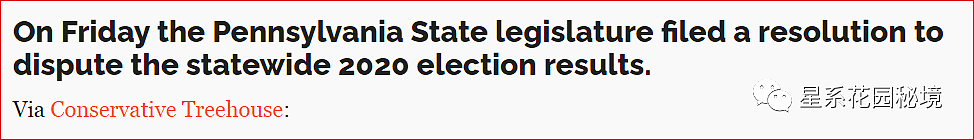 宾州议会表决掀翻了本州的投票结果，还说要把“争议提交给最高法”（组图） - 7
