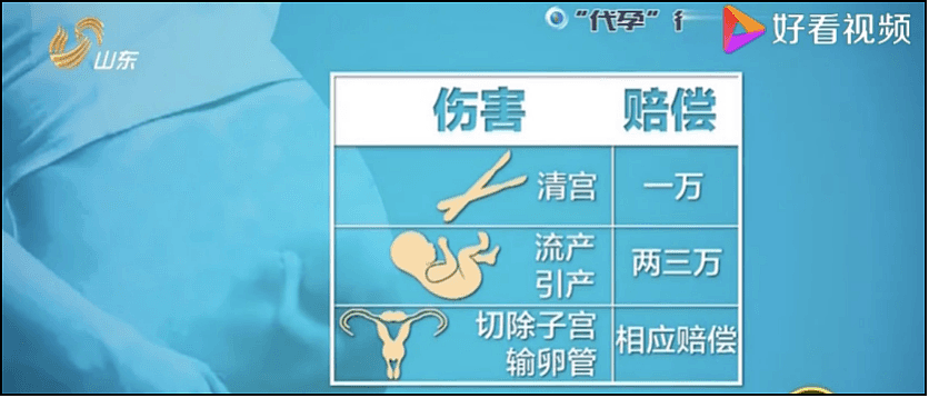 【女性】那个不敢生育的职场女精英，正在让爸妈帮忙代孕（组图） - 21