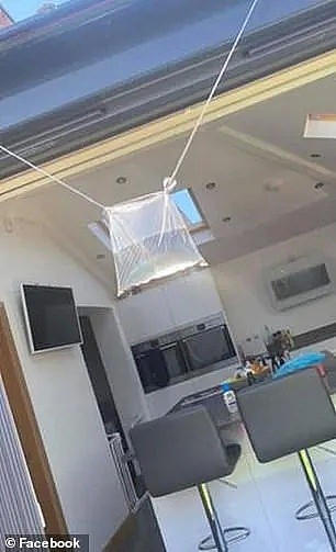 澳洲人亲测有效！家门口挂一个装水的塑料袋就可以驱蝇 - 2