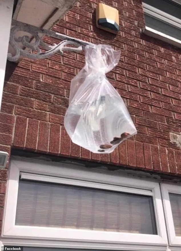 澳洲人亲测有效！家门口挂一个装水的塑料袋就可以驱蝇 - 3