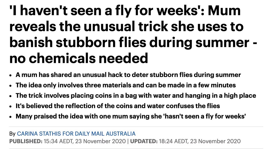 澳洲人亲测有效！家门口挂一个装水的塑料袋就可以驱蝇 - 1
