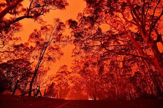 澳洲连续高温造成山火失控！民宅被烧，直升机运水灭火，州长：今年夏天，注定不轻松... - 32