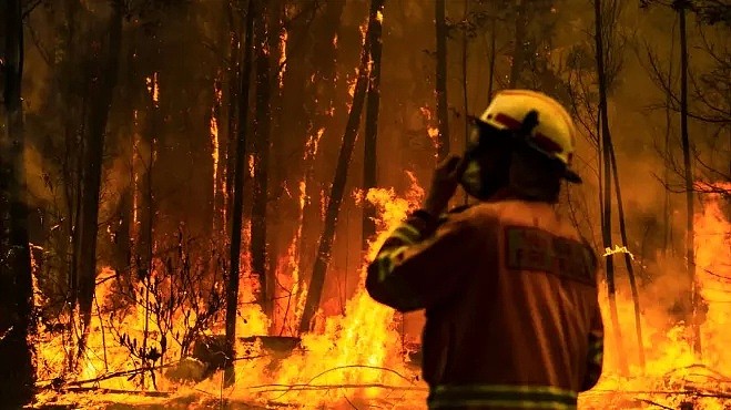 澳洲连续高温造成山火失控！民宅被烧，直升机运水灭火，州长：今年夏天，注定不轻松... - 34