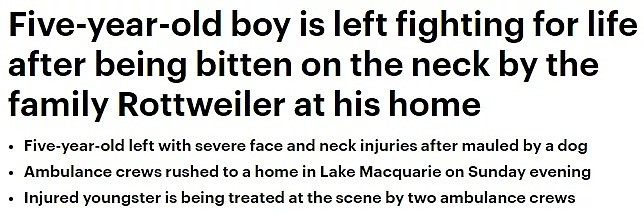 新州5岁娃被自家宠物狗咬到重伤，这个年龄段孩子最容易被攻击（组图） - 3