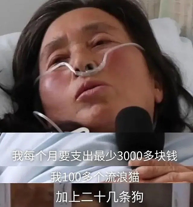中国女演员炮轰钟南山“你治好过几个人？”：世道变坏，是从好人寒心开始的（组图） - 15