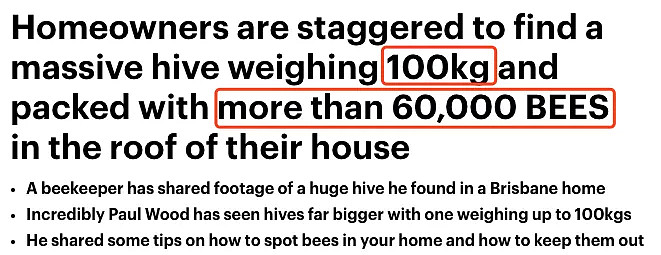澳洲民宅天花板坠落，暗藏60000只蜜蜂！有一种恐怖，叫做澳大利亚的动物... - 2