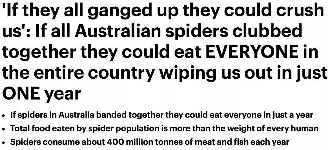 澳洲民宅天花板坠落，暗藏60000只蜜蜂！有一种恐怖，叫做澳大利亚的动物... - 34
