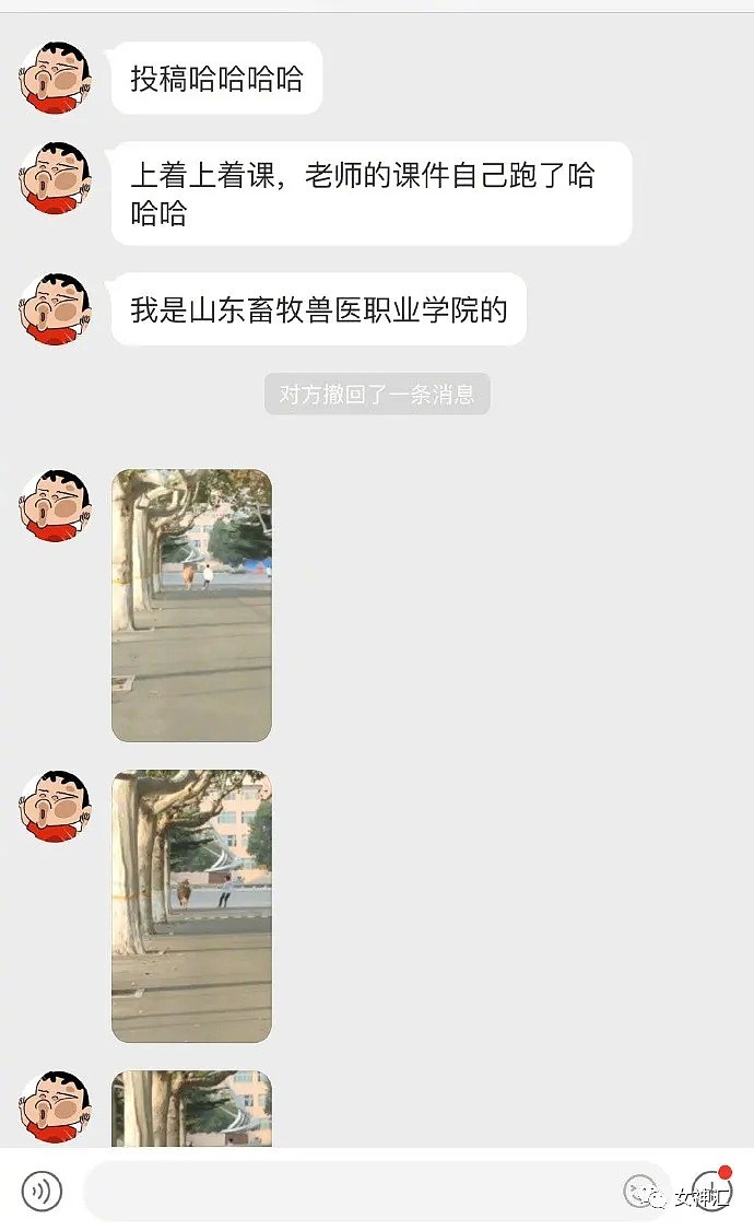 【爆笑】前女友深夜发消息要和我复合，结果...网友：“哈哈哈心态当场崩溃！”（组图） - 31