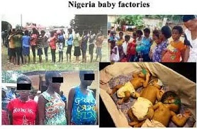 揭露非洲最残酷一幕：婴儿工厂屡禁不止，女性被侵犯产子（组图） - 3