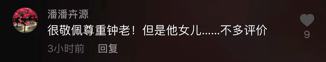 “和外国男友宣布结婚后，我收到了10000句脏话....”（组图） - 19