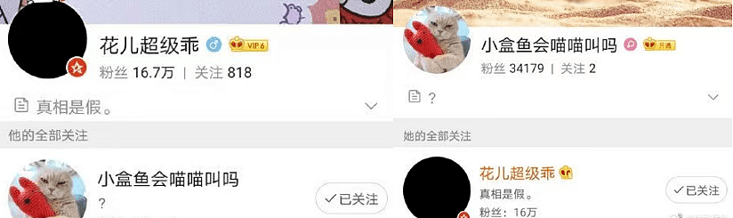 勾引名导被拒、终于傍上富婆的男爱豆，却被撕得底裤都不剩？（组图） - 28