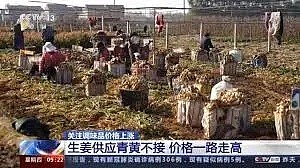 华人注意！疫情下“姜你军”在上演，中国收成不佳，全球生姜短缺至2月（组图） - 2